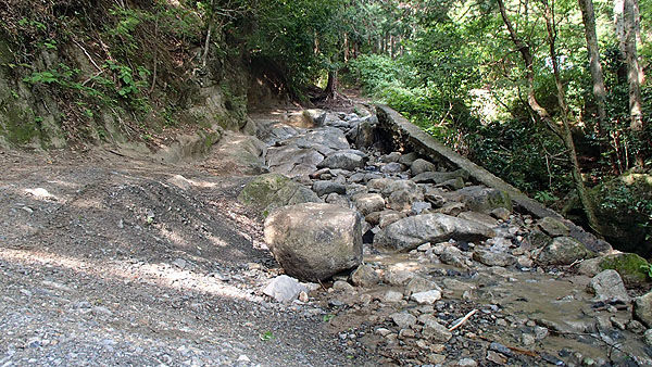 県道２１８号線